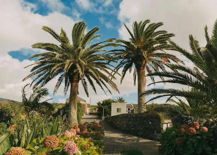 Moinho Das * Feteiras