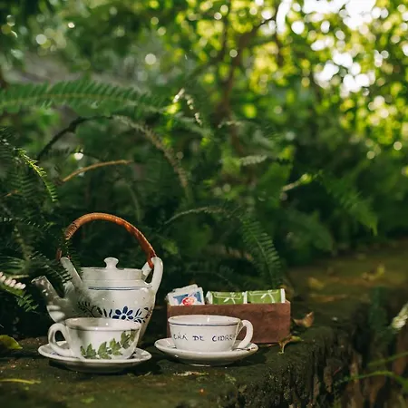Séjour à la ferme Moinho Feteiras