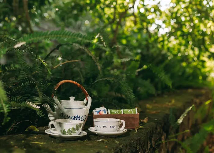 Gospodarstwo agroturystyczne Moinho Feteiras